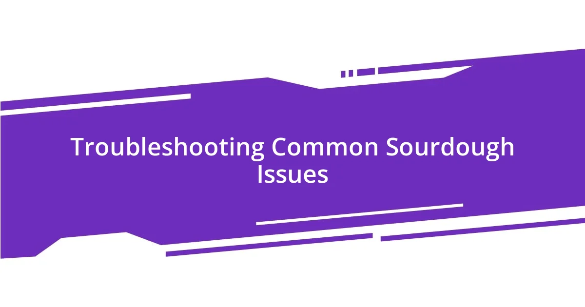 Troubleshooting Common Sourdough Issues